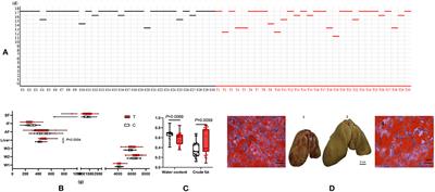 Integrative analysis of transcriptome and lipidome reveals fructose pro-steatosis mechanism in goose fatty liver